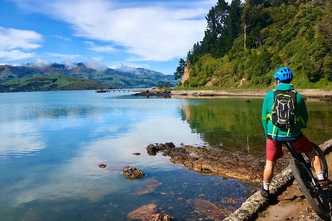 Akaroa Explorer- Guided Electric Bike Tour in Akaroa - A small group with real guidance