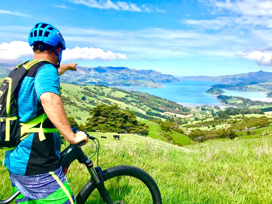 Akaroa Explorer: Guided Electric Mountain Bike Tour - Key points to know before you ride
