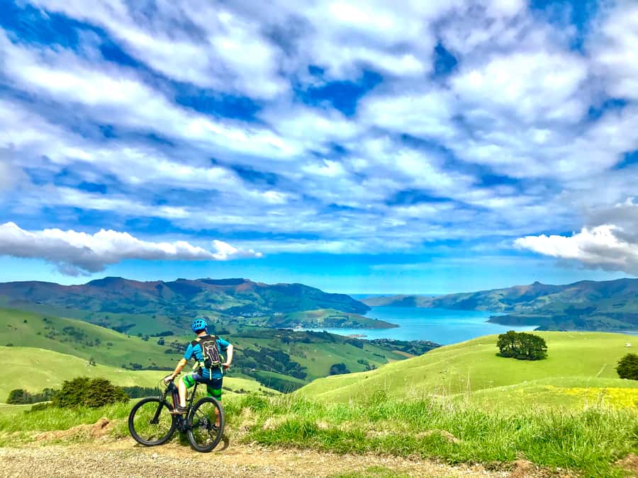 Akaroa Explorer: Guided Electric Mountain Bike Tour - Why an e-bike makes sense in hilly Akaroa