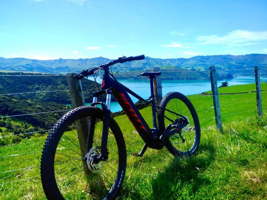 Akaroa Explorer: Guided Electric Mountain Bike Tour - Quiet roads, open water, and the first climbs