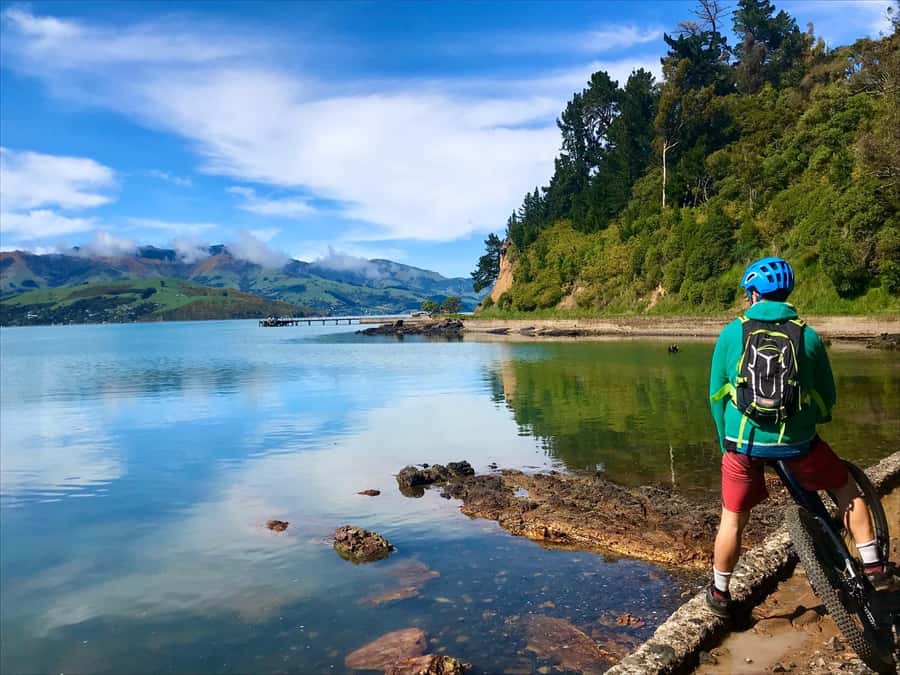 Akaroa Explorer: Guided Electric Mountain Bike Tour - Climbs, viewpoints, and the ride back down