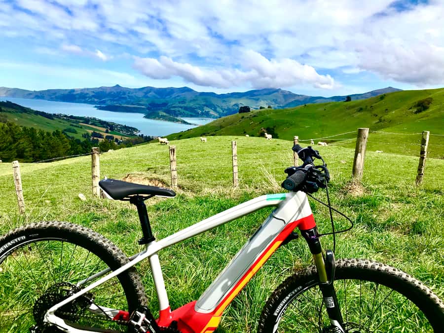 Akaroa Explorer: Guided Electric Mountain Bike Tour - Is $86 a fair price?