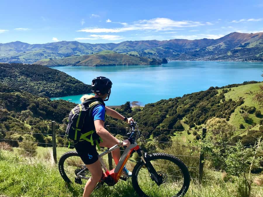 Akaroa Explorer: Guided Electric Mountain Bike Tour - Who will enjoy this ride most?