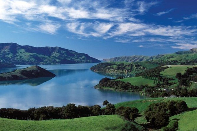 Akaroa Full Day Sightseeing Tour from Christchurch - Who should choose this Akaroa day trip?