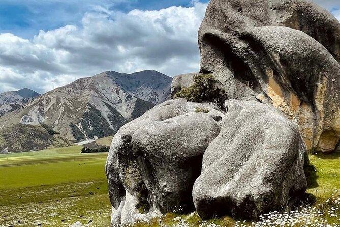Akaroa Full Day Sightseeing Tour from Christchurch - Should you book it?