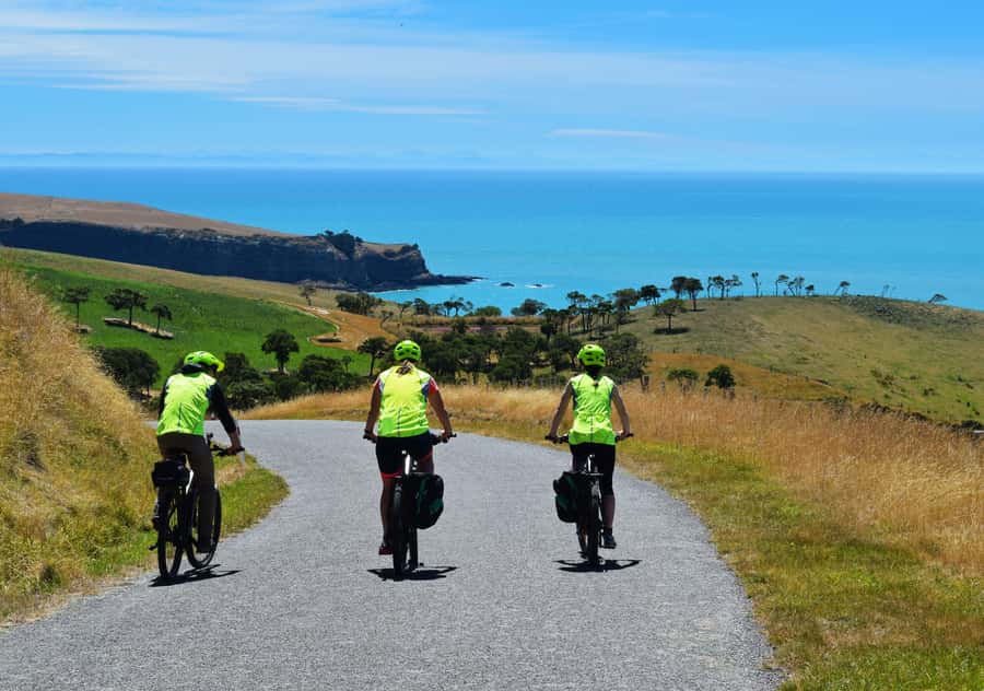 Akaroa: Guided Electric Mountain Bike Tour-Lava Loop - The Bike Makes the Climb Possible