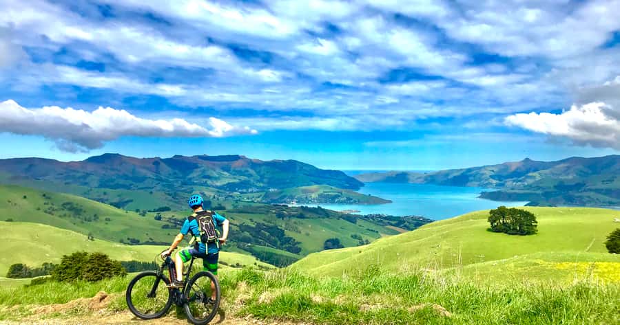 Akaroa: Guided Electric Mountain Bike Tour-Lava Loop - The Descent: Fast, Scenic, and Demanding
