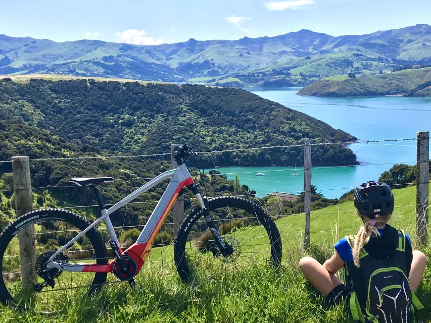 Akaroa: Guided Electric Mountain Bike Tour-Lava Loop - Final Call: Book It If You Want Akaroa With Some Effort