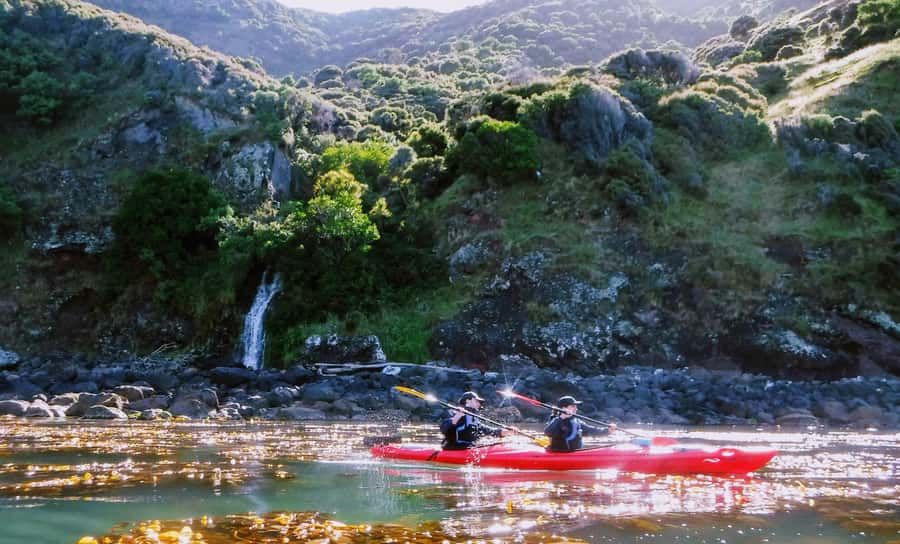 Akaroa: Guided Sunrise Sea Kayaking Tour - Why sunrise is the right time for Akaroa Harbour