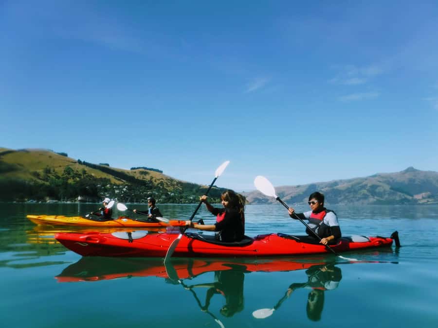 Akaroa: Guided Sunrise Sea Kayaking Tour - Meeting at the Akaroa Bowling Club