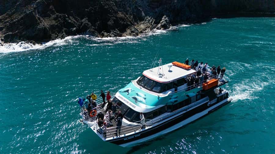 Akaroa Harbour 2-Hour Dolphin Nature Cruise - Weather, clothing, and accessibility