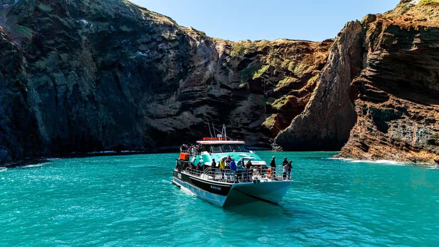 Akaroa Harbour 2-Hour Dolphin Nature Cruise - Boarding at Akaroa’s Main Wharf