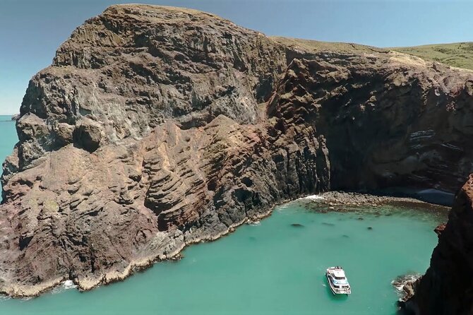 Akaroa Harbour Nature Cruise - Key points to know before you go
