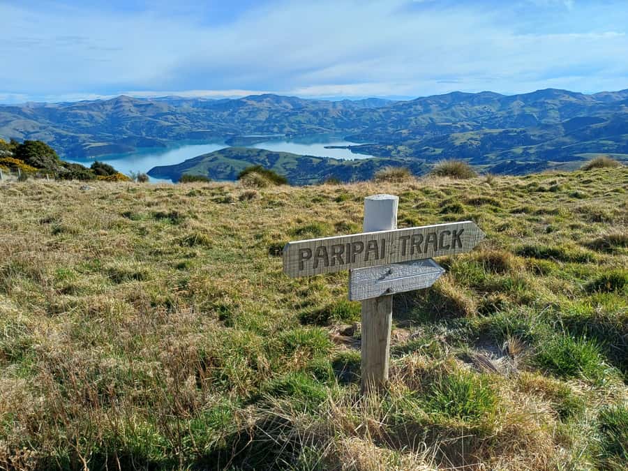 Akaroa: Lonely Beach Trail by E-Scooter. selfguided day out - Hinewai Reserve and the Stoney Bay Peak walk