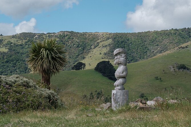 Akaroa Nature and History Private Tour - The 7th Generation - What the private format changes