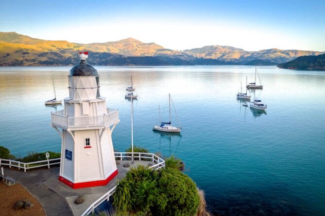 Akaroa Private Day Tour from Christchurch - Key points to know before you book