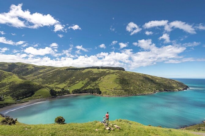 Akaroa Private Day Tour from Christchurch - Why the Christchurch to Akaroa route works so well