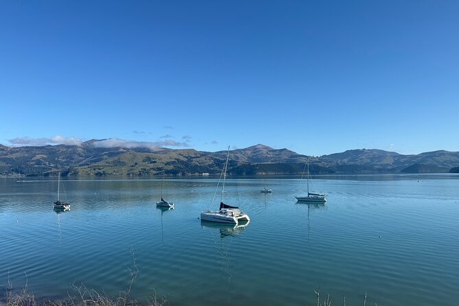 Akaroa Private Day Tour from Christchurch - Three hours in Akaroa’s volcanic setting
