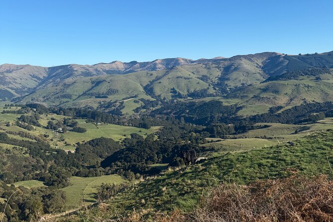 Akaroa Private Day Tour from Christchurch - Who will enjoy this day most?