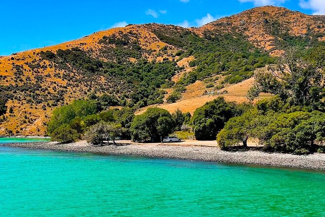 Akaroa Private Day Trip From Christchurch - Governors Bay and the winding coastal road