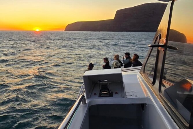 Akaroa Private Day Trip From Christchurch - The optional dolphin cruise and cheese tasting