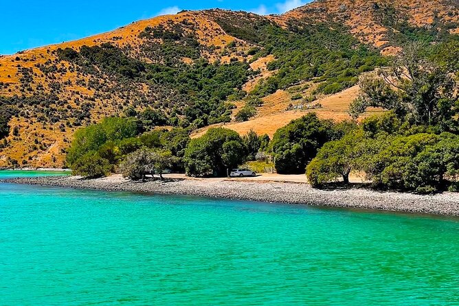 Akaroa Private Group Day Trip from Christchurch - A Scenic Road From Christchurch to Akaroa
