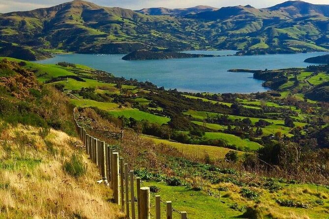 Akaroa Private Group Day Trip from Christchurch - Governor’s Bay and the Quiet Coastal Road