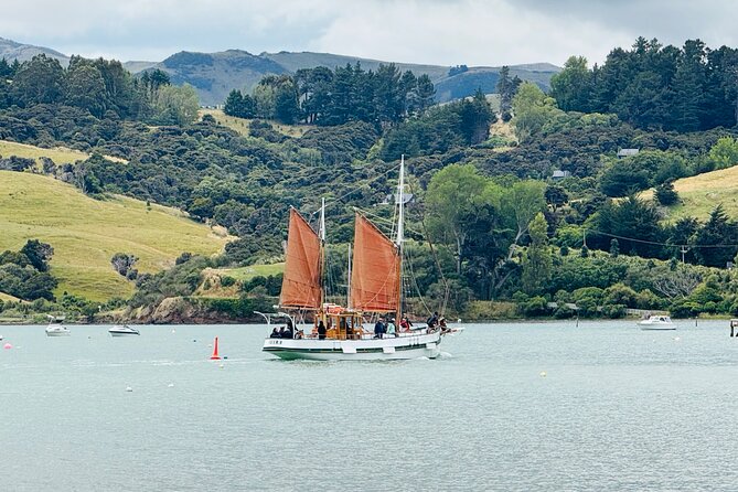 Akaroa Private Group Day Trip from Christchurch - What the Guides Add to the Day