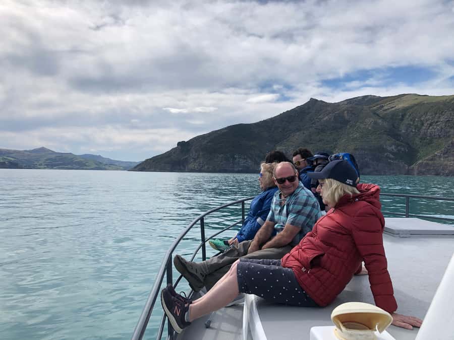 Akaroa: Scenic Coastline Wildlife Cruise - Dolphins, penguins, and seabirds