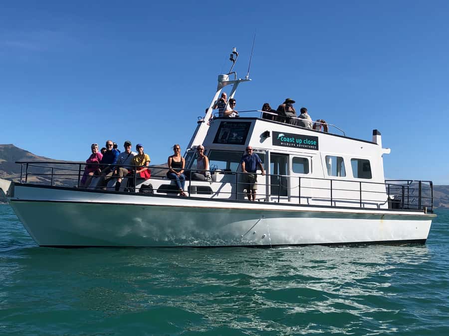 Akaroa: Scenic Coastline Wildlife Cruise - The lobster pot adds a hands-on surprise