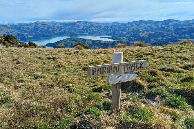 Akaroa Self Guided Electric Scooter Tour - Takamatua Valley Vineyard at the end of the ride