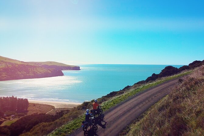 Akaroa Self Guided Electric Scooter Tour - Who will enjoy this ride most