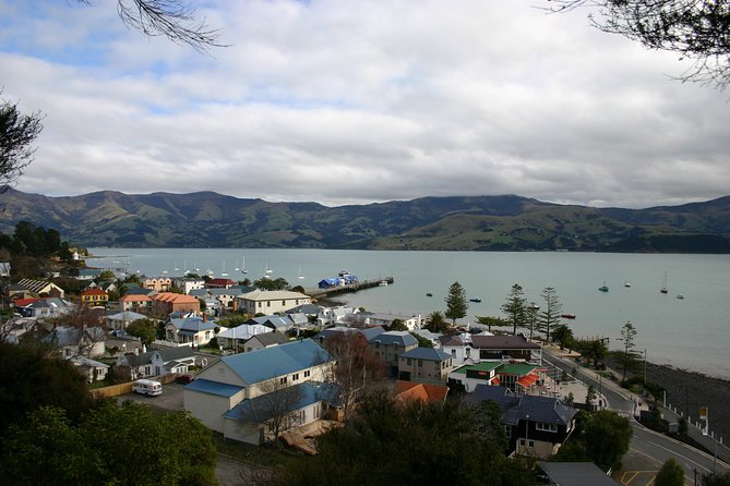 Akaroa Shore Excursion: Akaroa Harbour and Sheep Farm Local Tour - Barry’s Bay Cheese is a brief local taste
