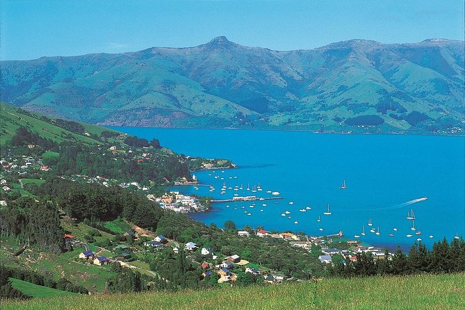 Akaroa Shore Excursion: Akaroa Harbour and Sheep Farm Local Tour - Hilltop Tavern gives you a short view break