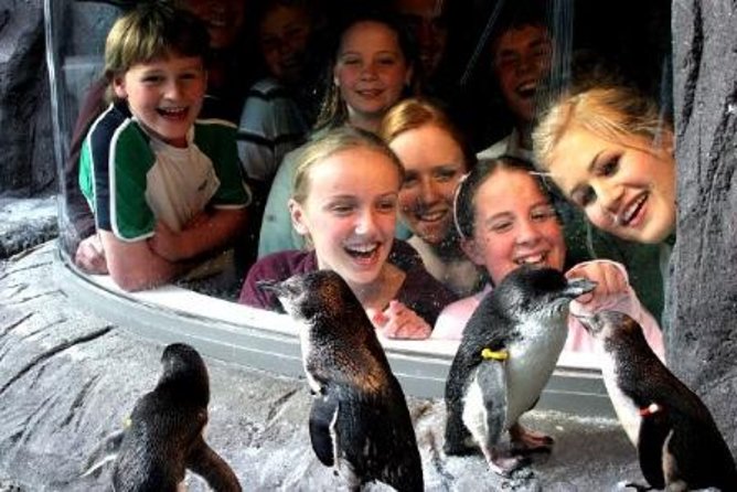 Akaroa Shore Excursion: Banks Peninsula, Christchurch City Tour and the International Antarctic Centre - Is the $124.11 price good value?