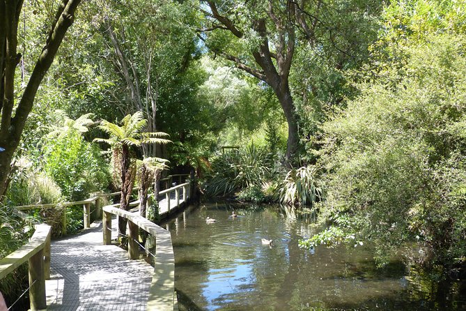 Akaroa Shore Excursion: Banks Peninsula, Christchurch City Tour and Willowbank Wildlife Reserve - Who should book this Akaroa excursion?