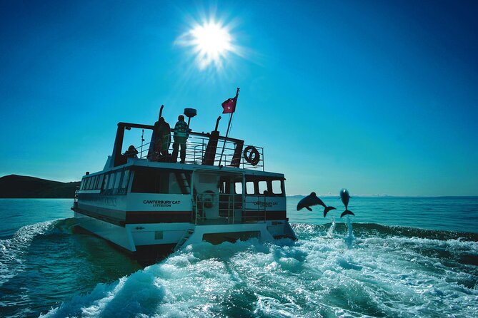 Akaroa Swim with Dolphins Tour from Christchurch - The value of $223.41