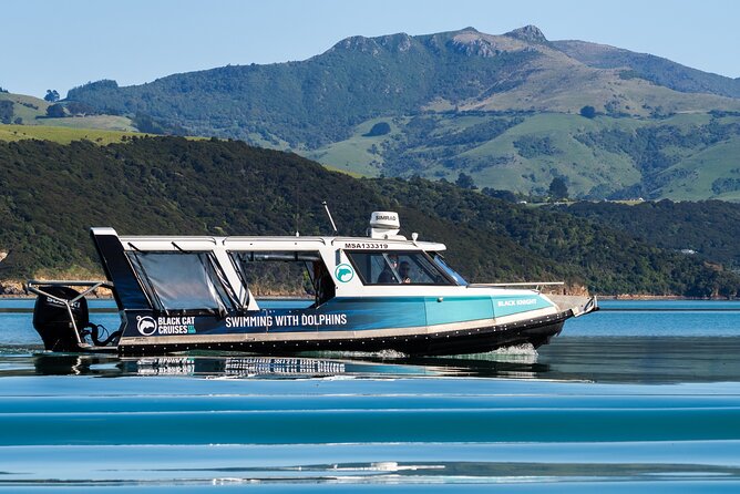 Akaroa Swim with Dolphins Tour from Christchurch - Governor’s Bay, Gebbies Pass, and Lake Ellesmere