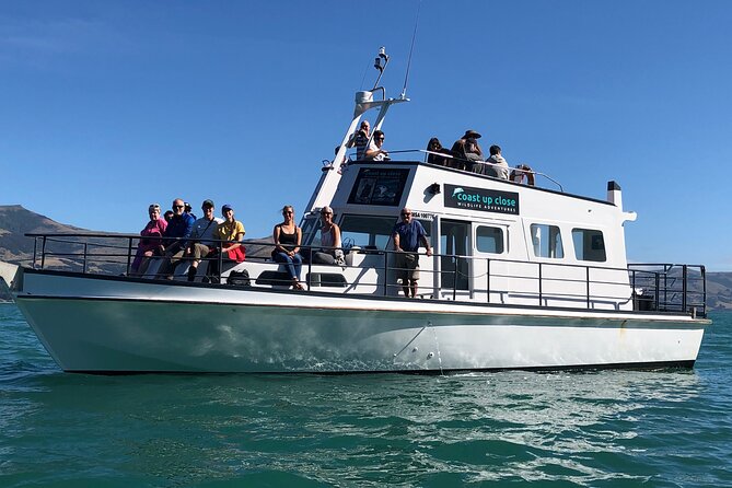Akaroa Wildlife Cruise - Key points to know before you book