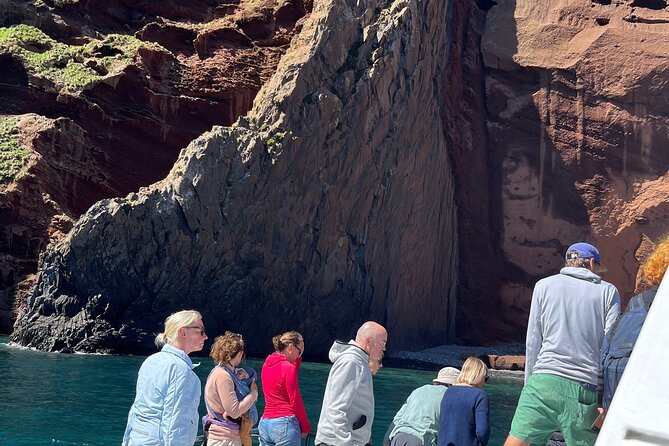 Akaroa Wildlife Cruise - Seals, penguins, and seabirds along the coast