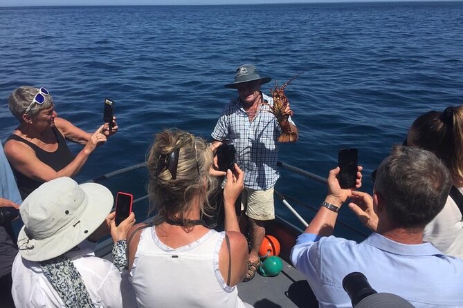 Akaroa Wildlife Cruise - Timing, meeting point, and cancellation rules