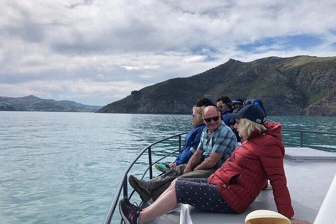 Akaroa Wildlife Cruise - A small boat with room to pay attention