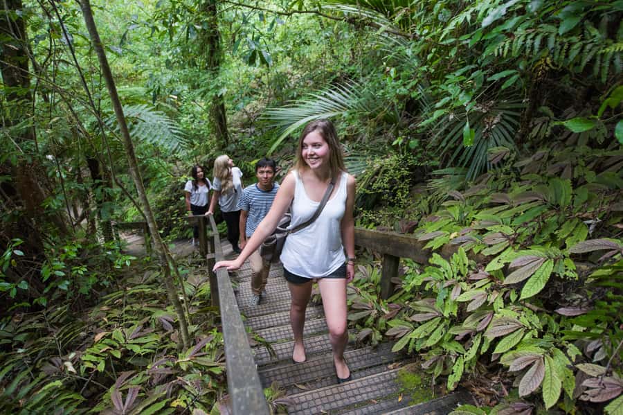 Aranui Cave 1-Hour Guided Tour - Maori stories and the cave’s geology