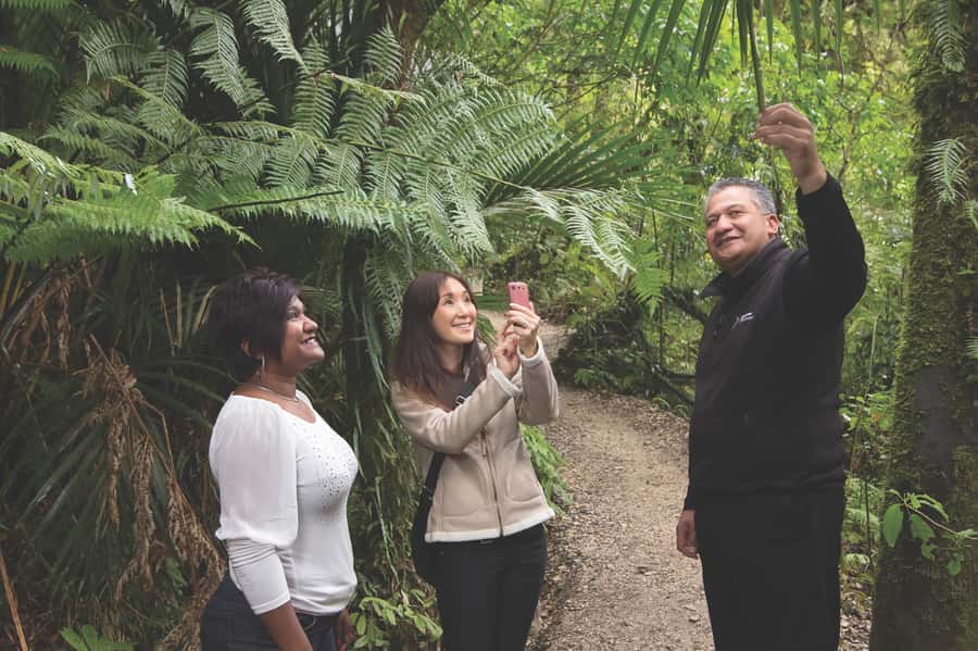 Aranui Cave 1-Hour Guided Tour - Should you book Aranui Cave?