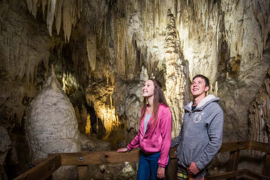 Aranui Cave 1-Hour Guided Tour - The 15-minute bush walk into Ruakuri Scenic Reserve