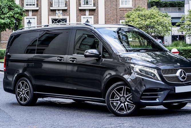 Arrival Transfer: Auckland Airport to Auckland Central City Centre - What the strongest service looks like