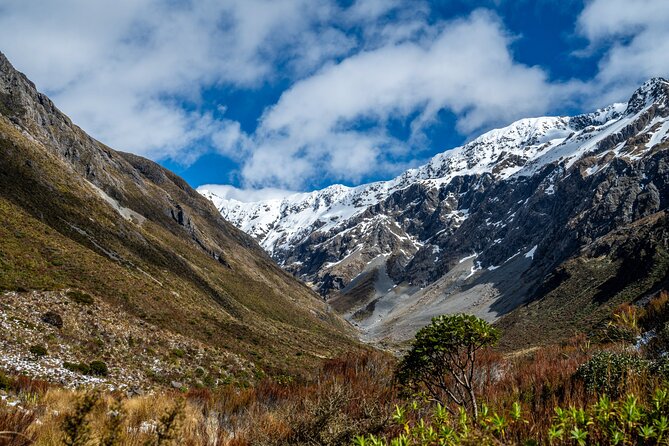Arthur’s Pass Tour From Christchurch With Jet Boat & TranzAlpine - Key details before you book