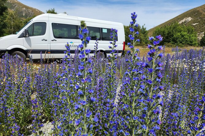 Arthur’s Pass Tour From Christchurch With Jet Boat & TranzAlpine - Why this Arthur’s Pass day trip works so well