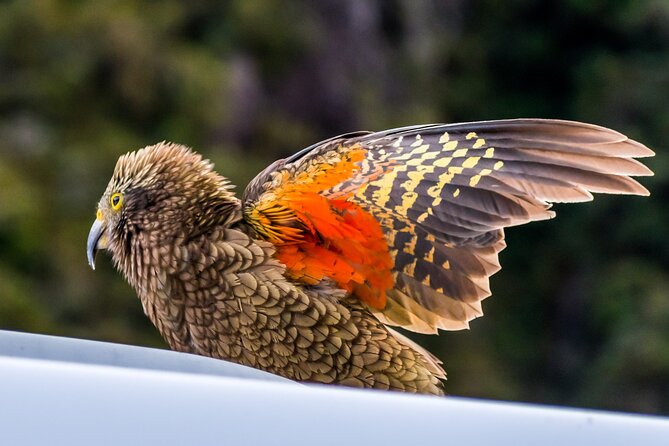 Arthur’s Pass Tour From Christchurch With Jet Boat & TranzAlpine - Arthur’s Pass Village and Devil’s Punchbowl