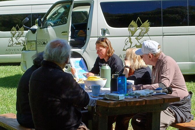 Arthur's Pass with optional TranzAlpine Train (Small Group Tour) - Castle Hill and Kura Tawhiti limestone formations